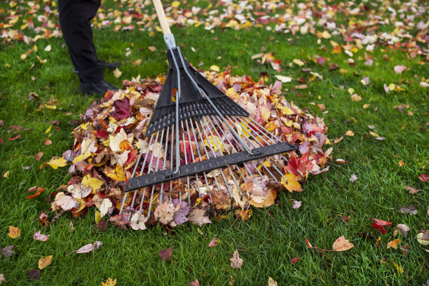 rake