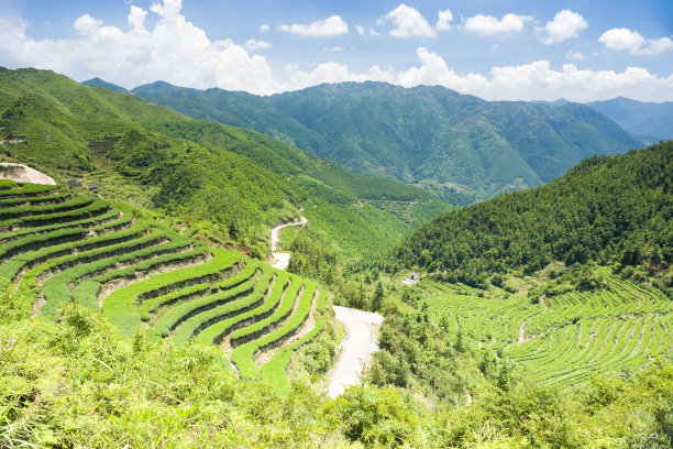 fujian