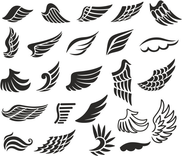 wings