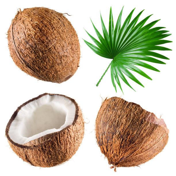 coconut
