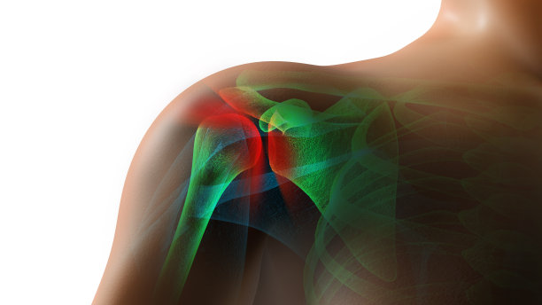 shoulder