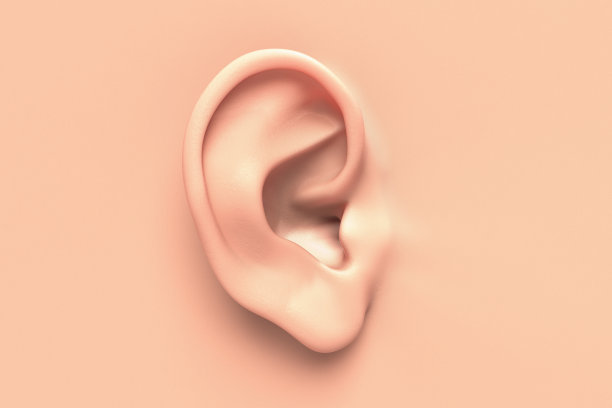 ear