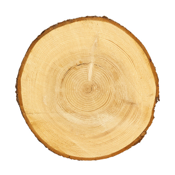log