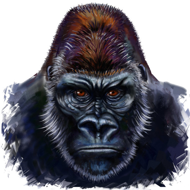 kong