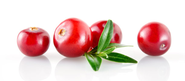 cranberry