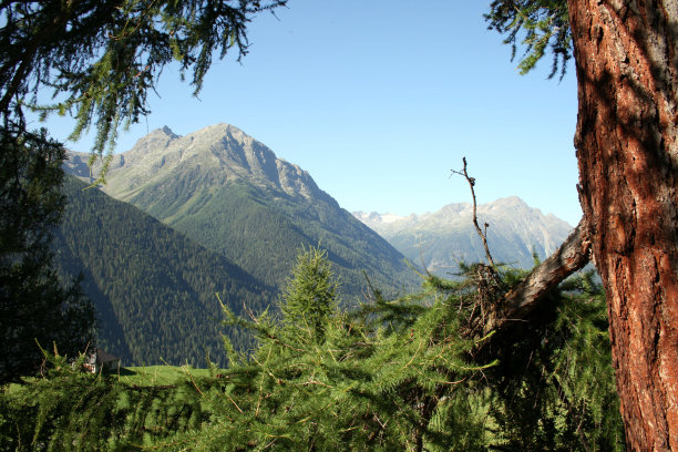 guarda