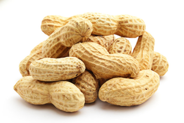 earthnut