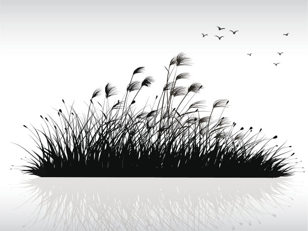 reed