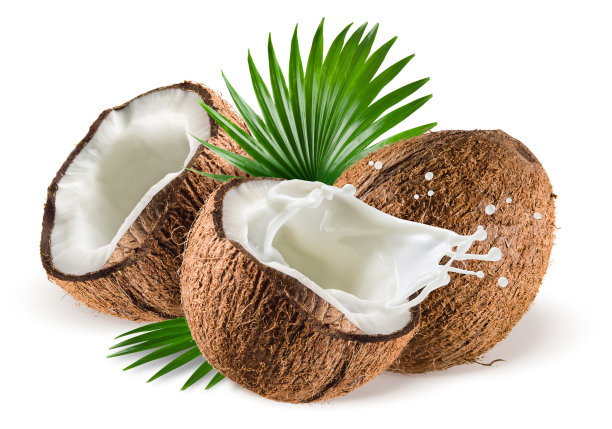 coconut