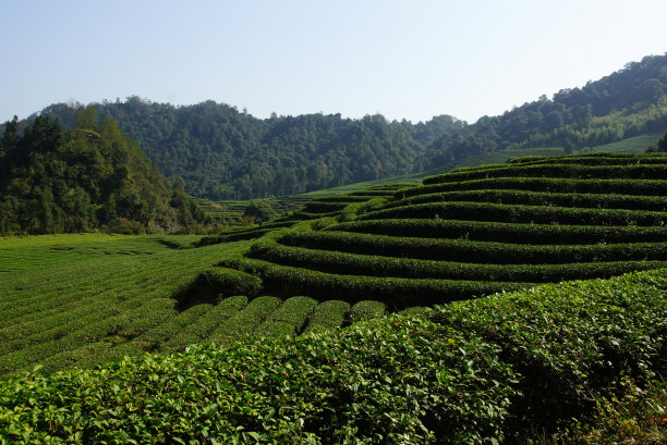 fujian