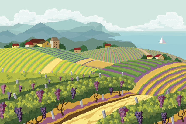 vineyard