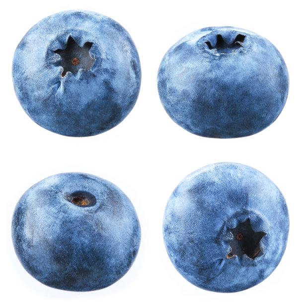 ericaceae