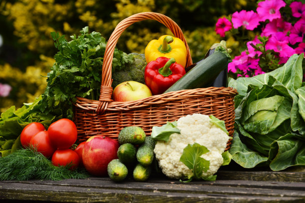 vegetable