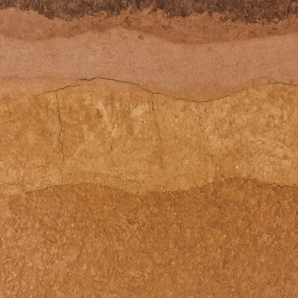 ground