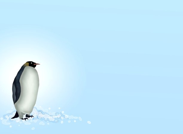 卡通企鹅信纸_ppt模板_word文档_表格模板下载_docer稻壳儿官网