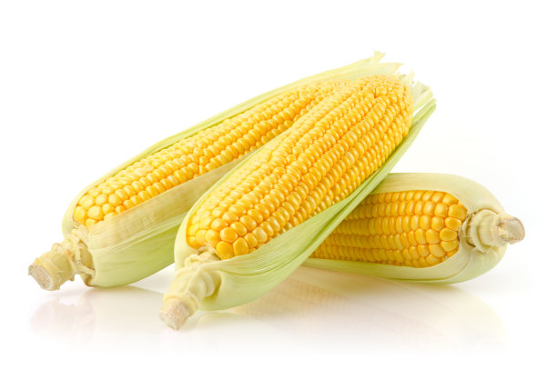 maize