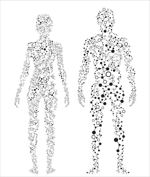 cells
