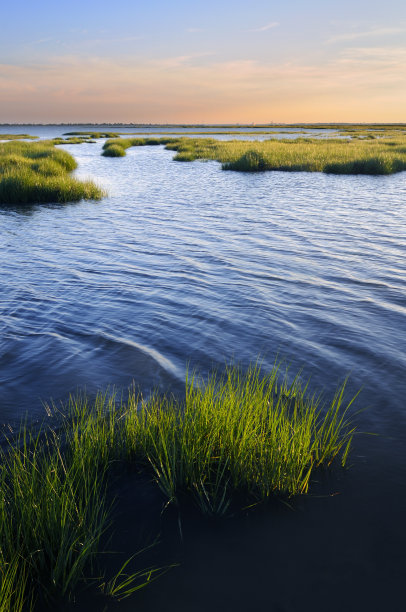 marsh
