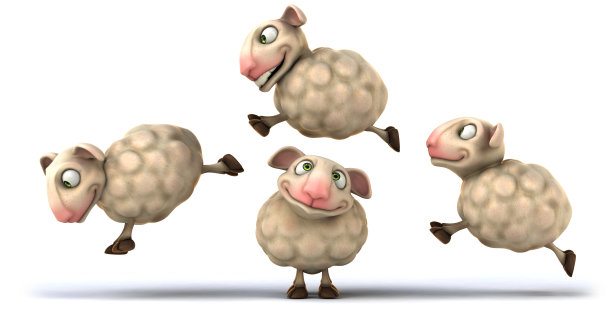 sheep