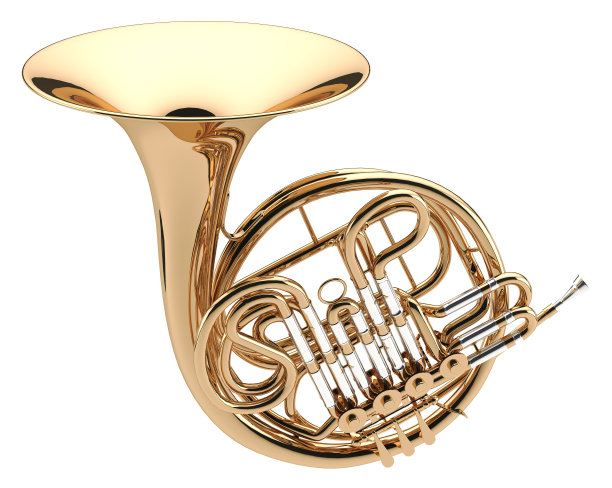 horns