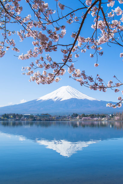 富士山文化