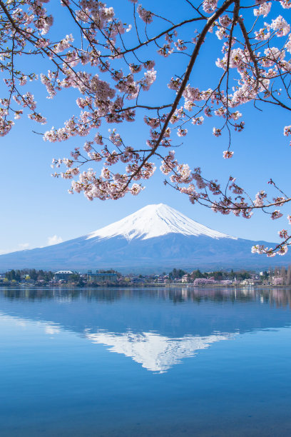 fuji