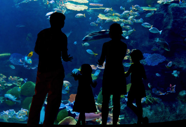 aquarium