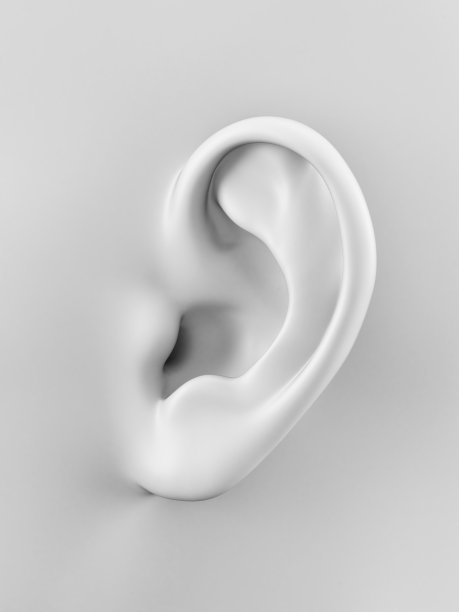 ear