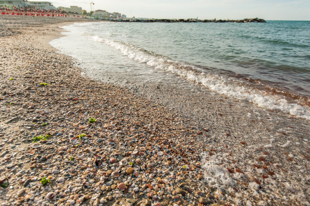 brac