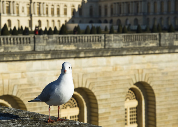 versailles
