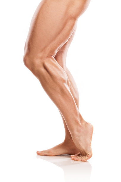 legs