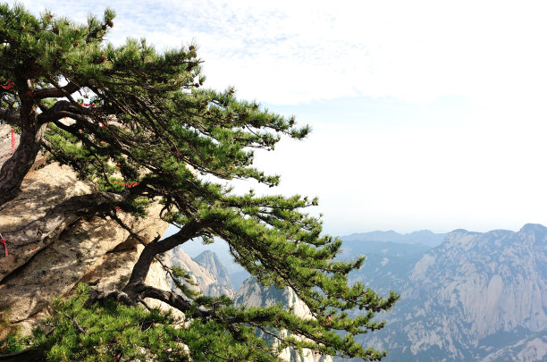 华山风光山崖