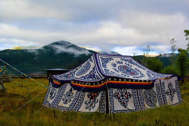 mongol