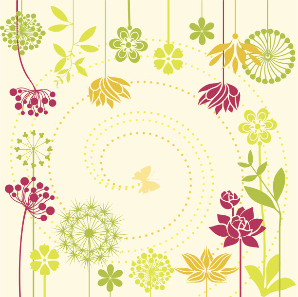 中草药菊花插画