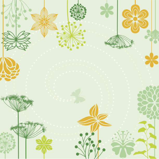 中草药菊花插画