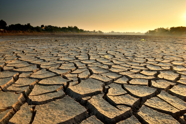 desolate