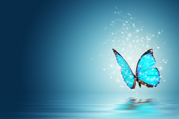 fairy