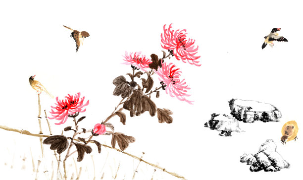 石头,篱笆,菊花