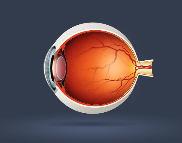 retina