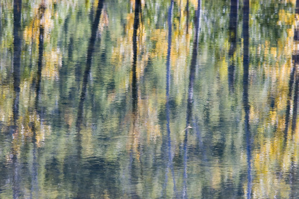 monet