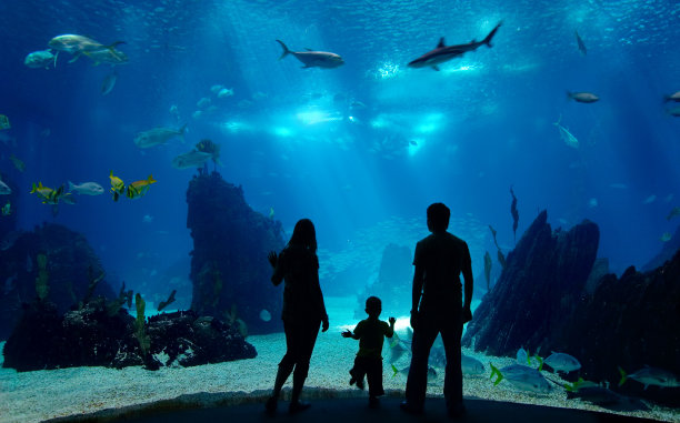 aquarium
