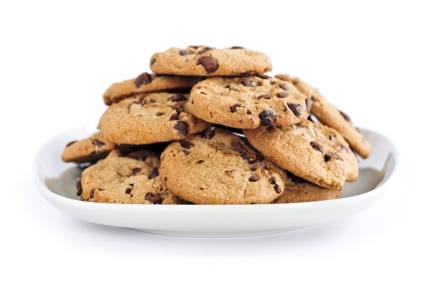 biscuit