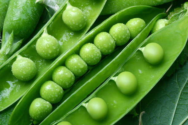 pod