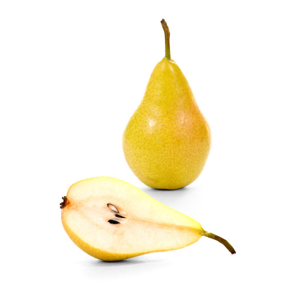 pyrus