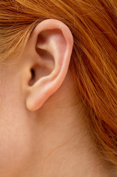 ear