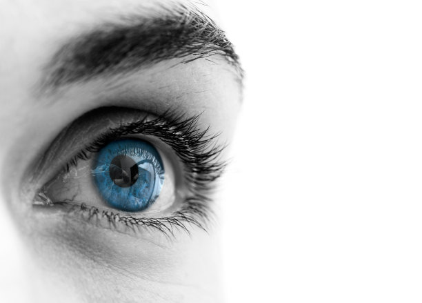 vision