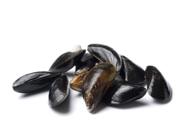 mussels