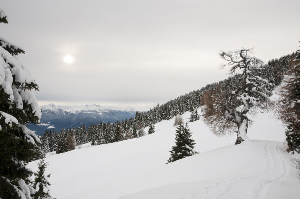 tyrol