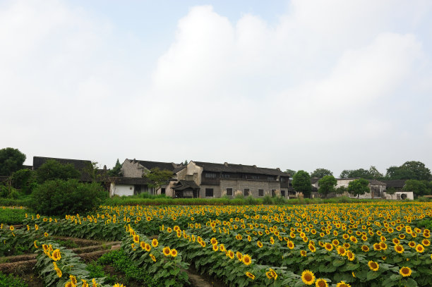 zhejiang