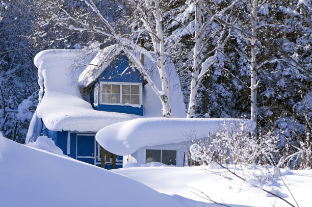 深雪